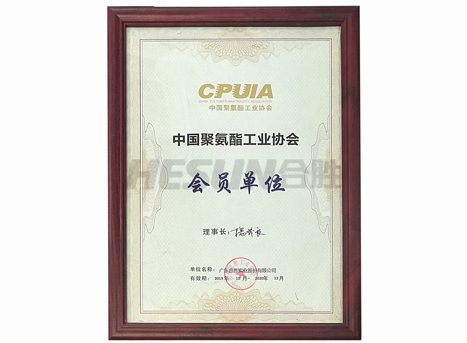 Member of China Polyurethane Industry Association
