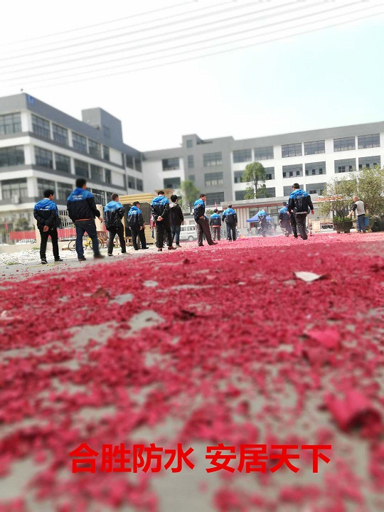 图片3_副本.jpg